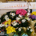 Easter Sunday